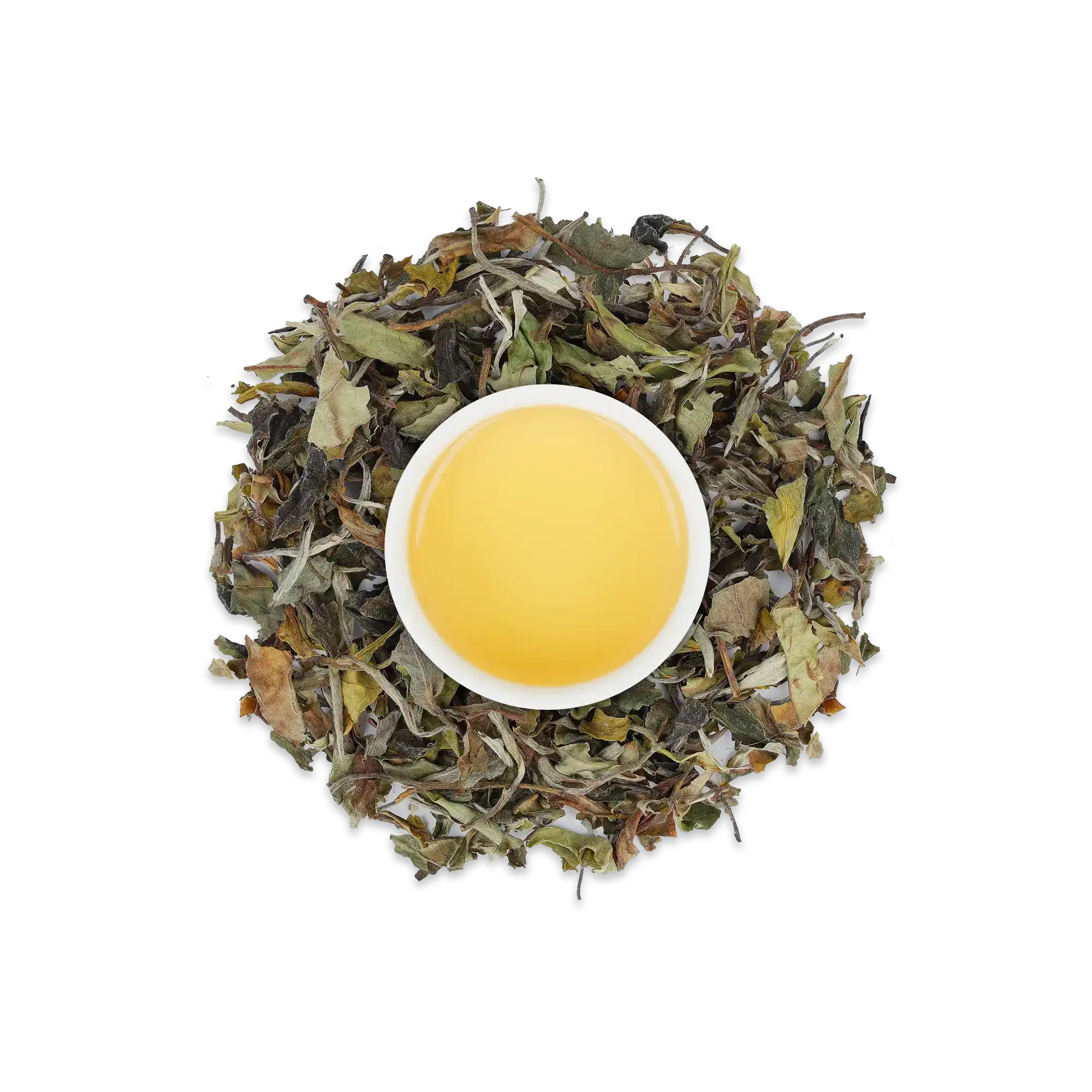 Weißer Becher mit hellgelbem Tee, umgeben von getrockneten Grün- und Kräuterteeblättern auf weißem Hintergrund.