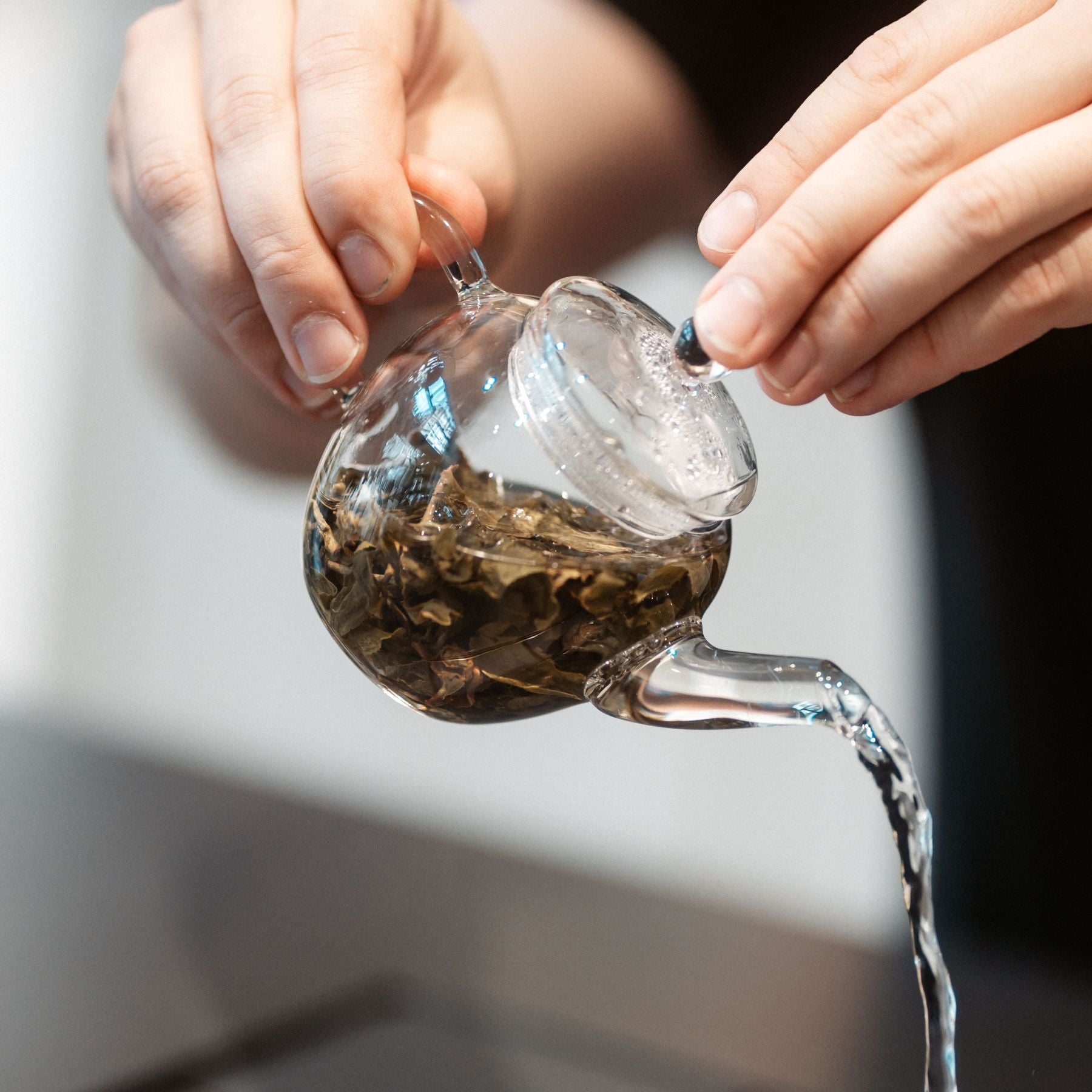 Transparenter Glaskessel mit Teeblättern wird von Händen gehalten, während Tee eingegossen wird.