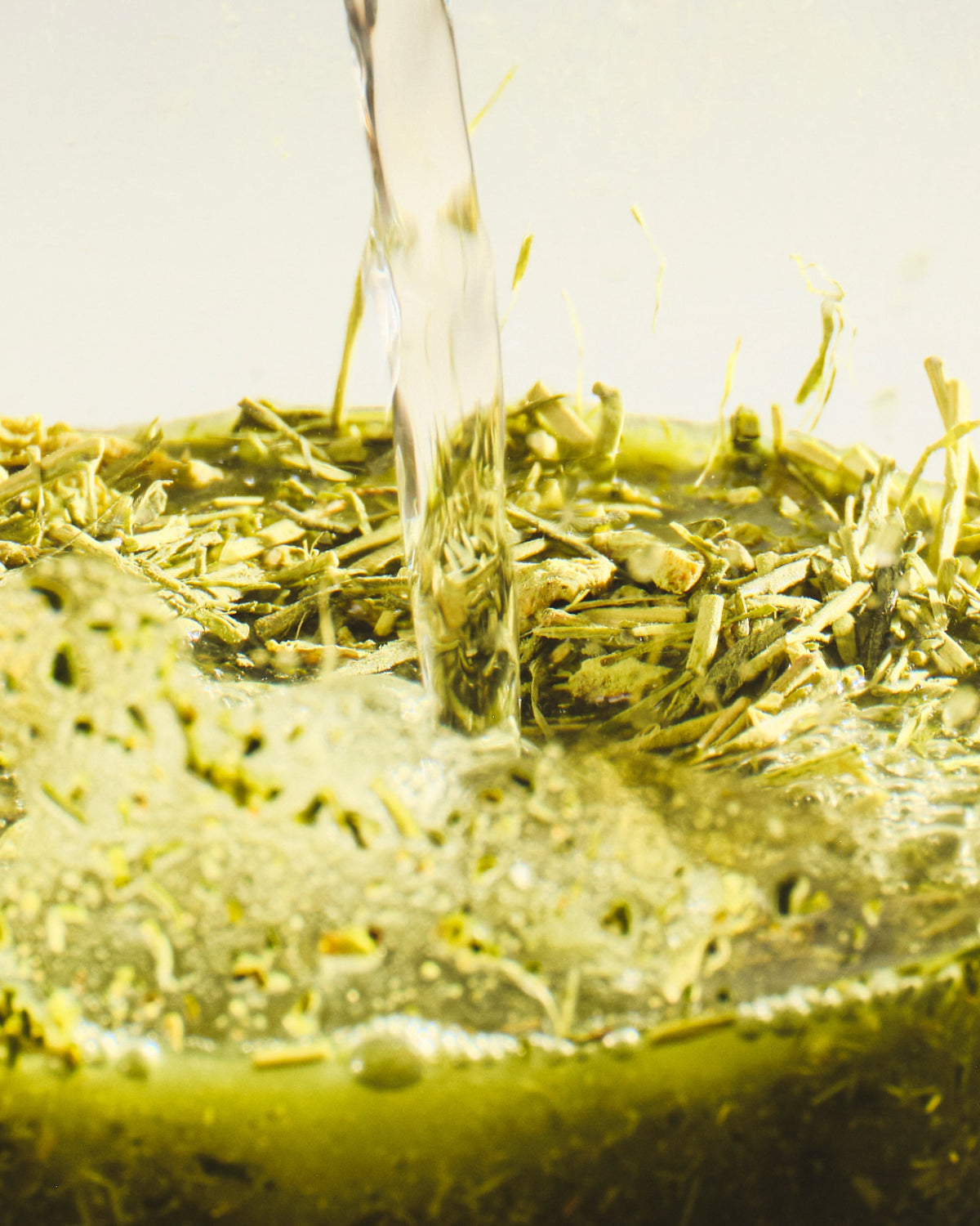 Wasser wird auf lose grüne Teeblätter in einem Behälter gegossen, Bläschen und Spritzer sichtbar.