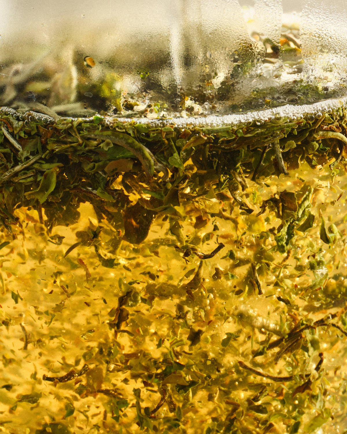 Nahaufnahme von grünen und braunen Teeblättern, die in goldenem Wasser in einem Glasgefäß ziehen.