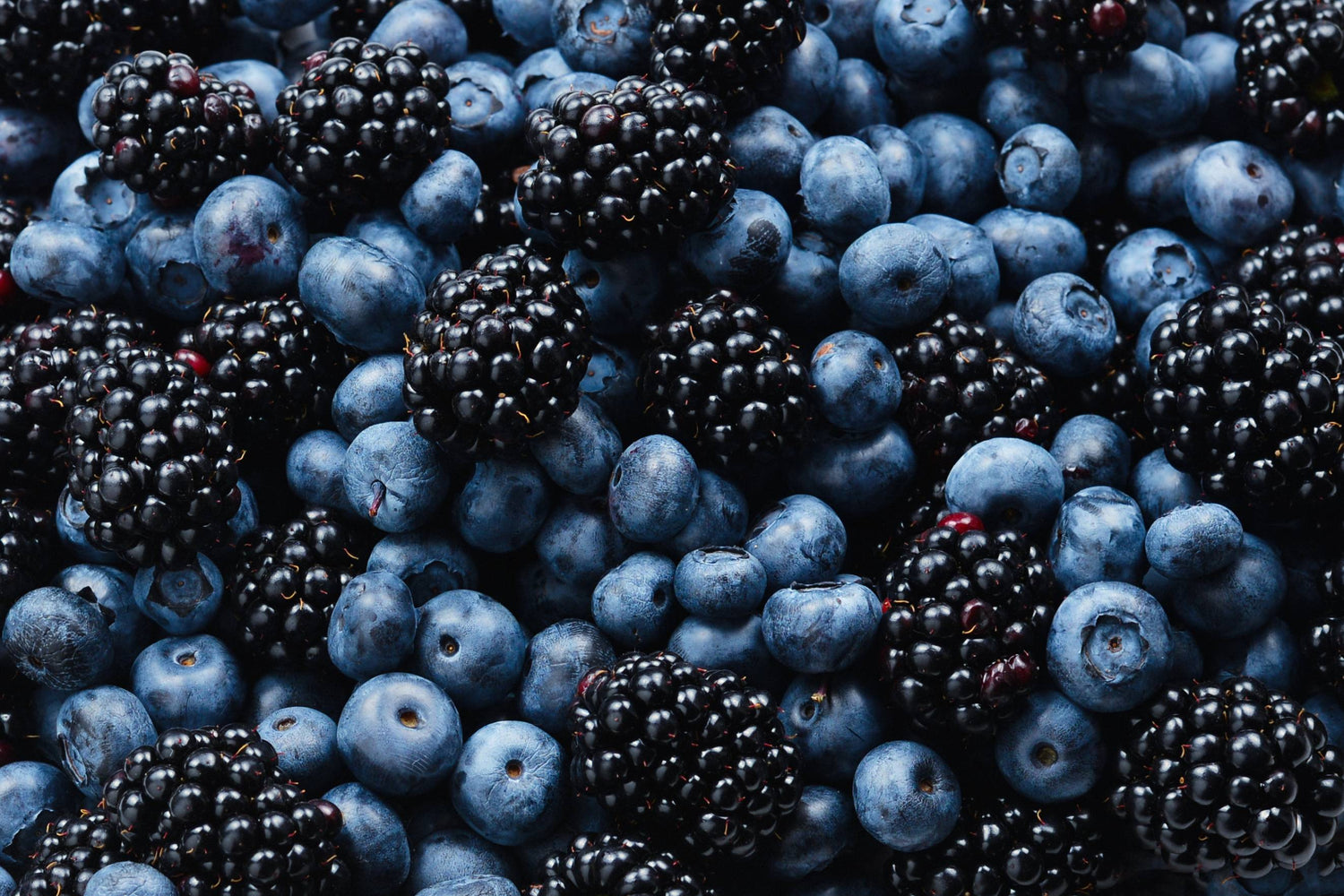 Nahaufnahme reifer Heidelbeeren und Brombeeren, reich an Antioxidantien