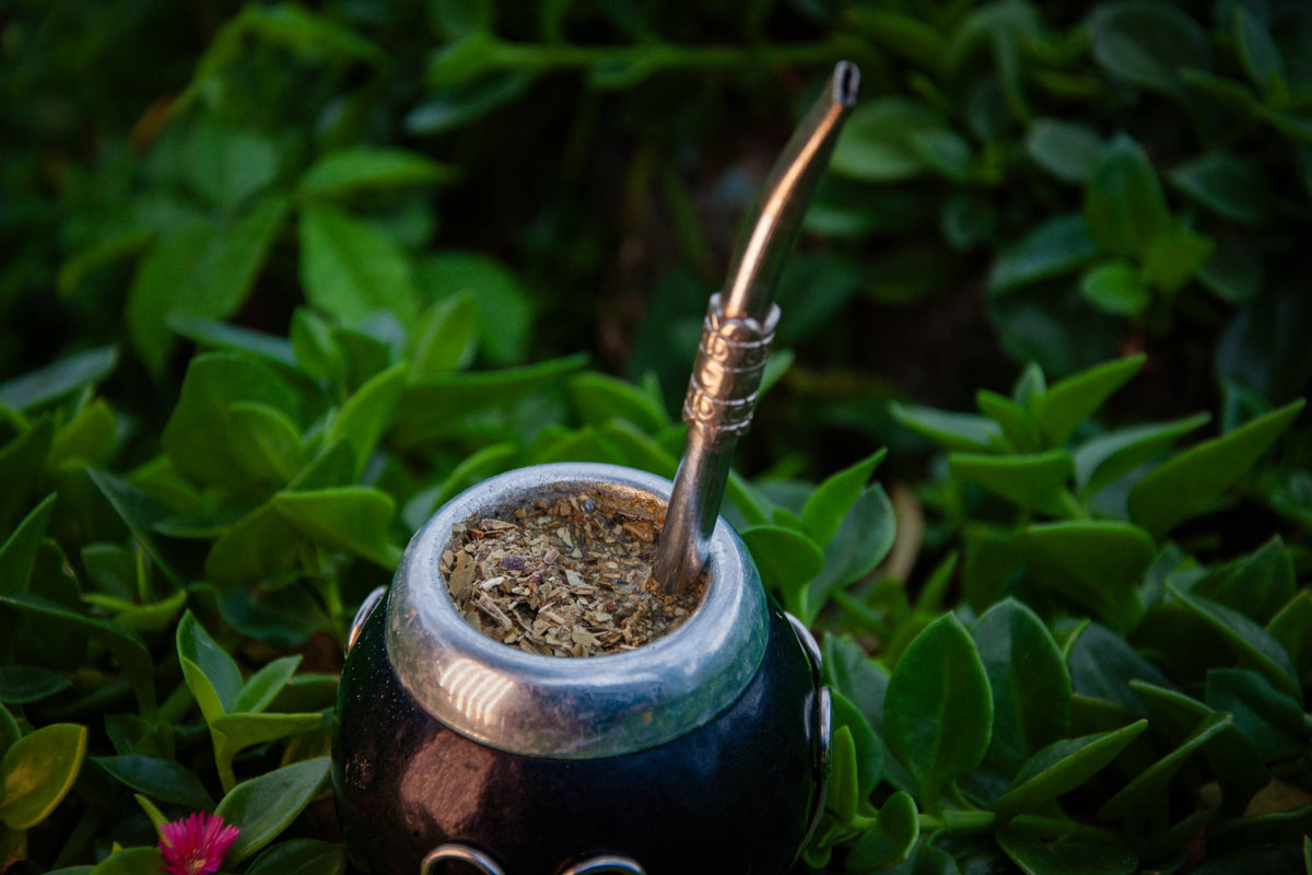Bombilla Uncovered: Exploring the Classic Mate Straw