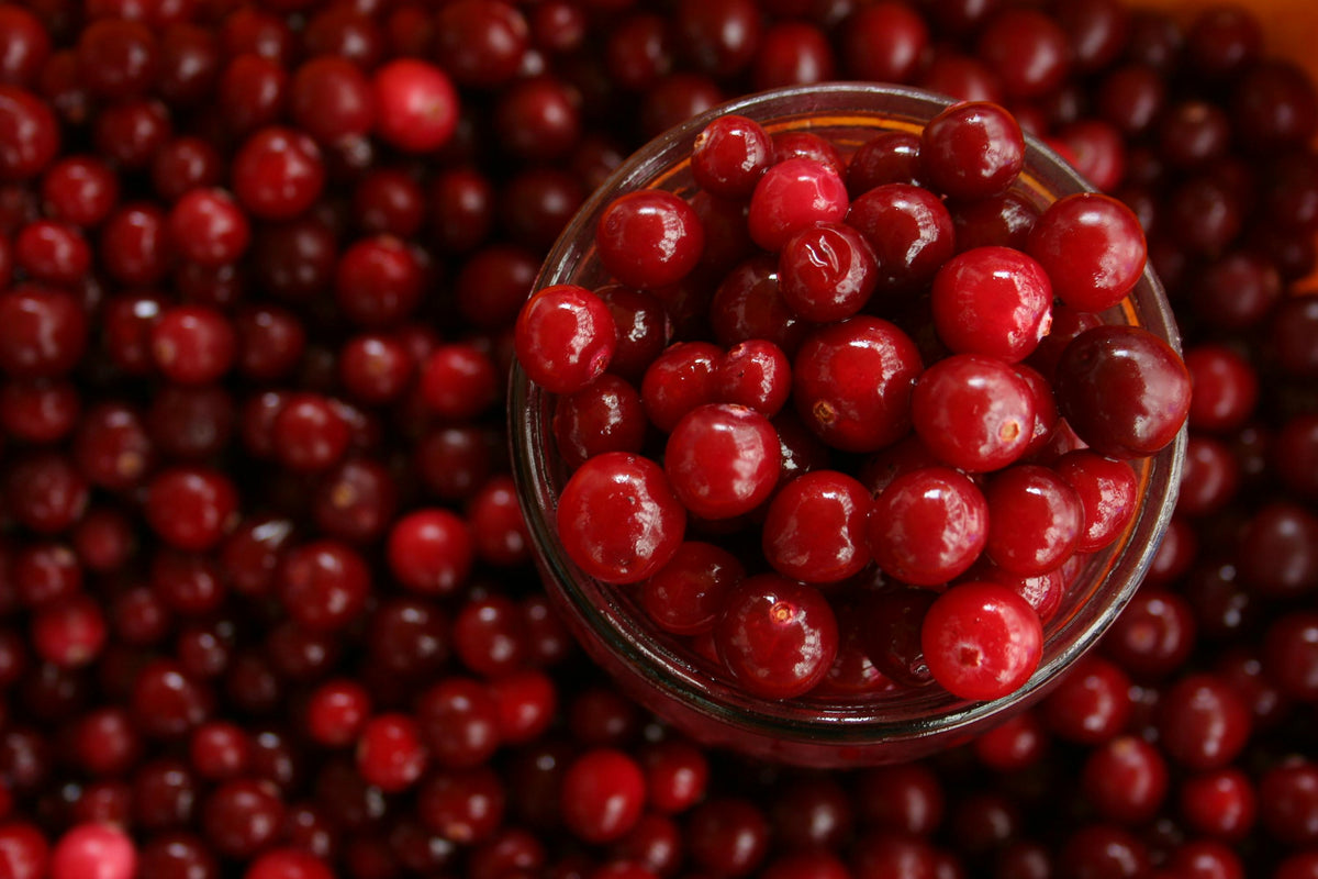Fresh Cranberry (fresh)