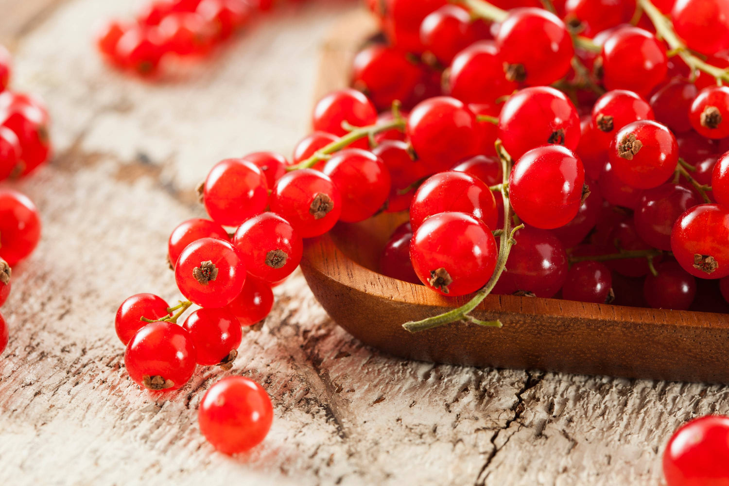 Rote Johannisbeeren auf Tisch
