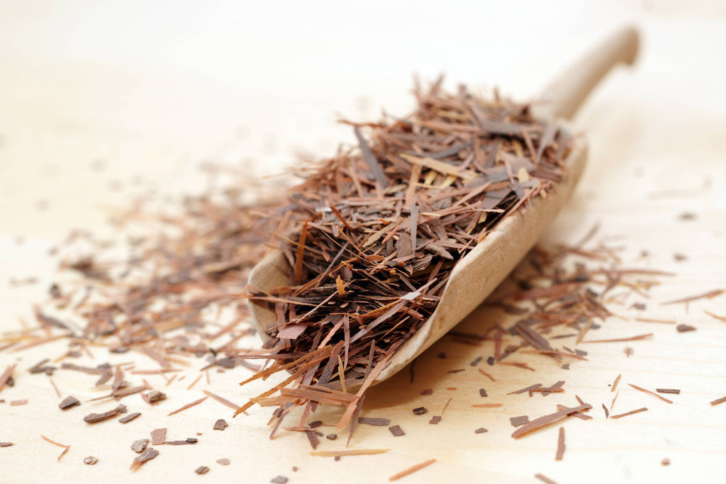 Lapacho Tea: From Rainforest to Teacup