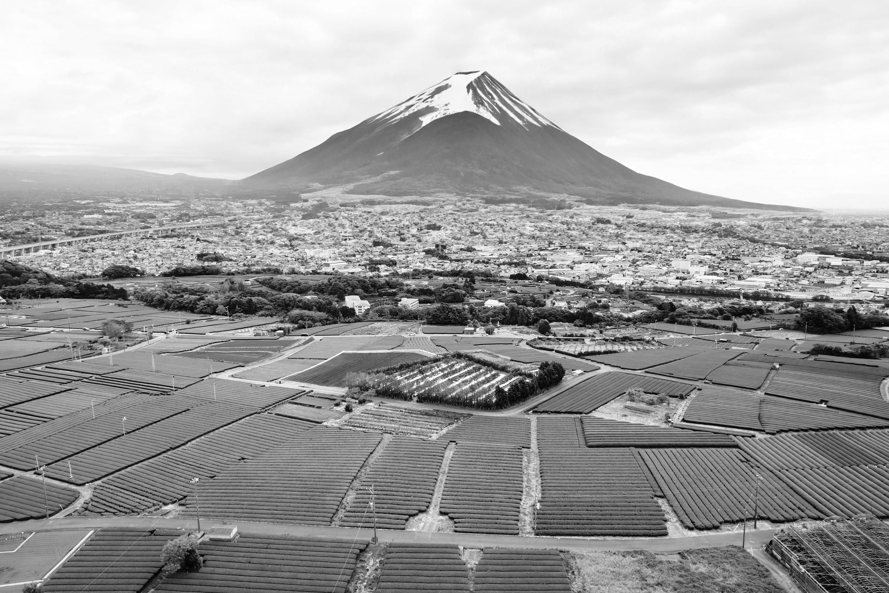 Luftaufnahme des japanischen Gebirges Fuji und Felder im Vordergrund