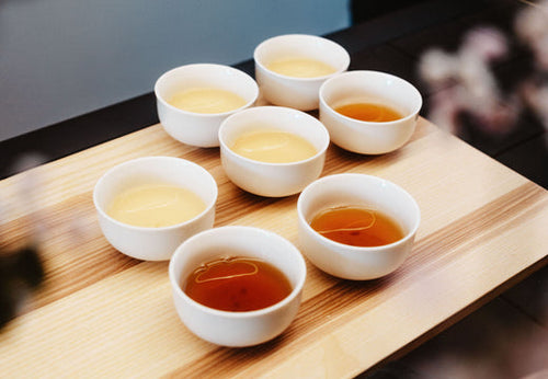 How Tea Varieties Are Crafted from Camellia Sinensis