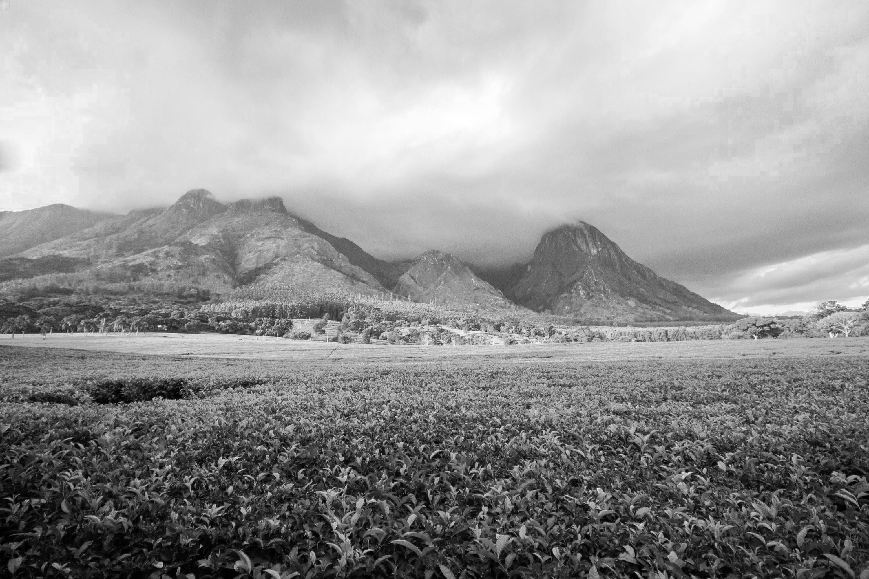 Landschaft mit Bergen in Malawi