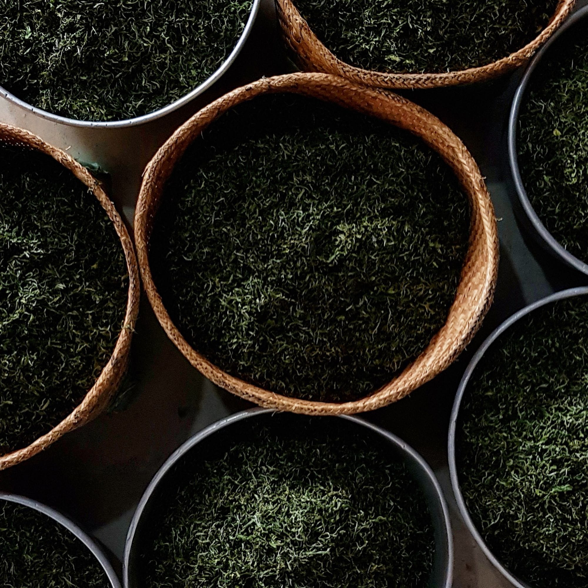 Runde Körbe aus Stroh und Metall mit getrockneten grünen Teeblättern gefüllt.