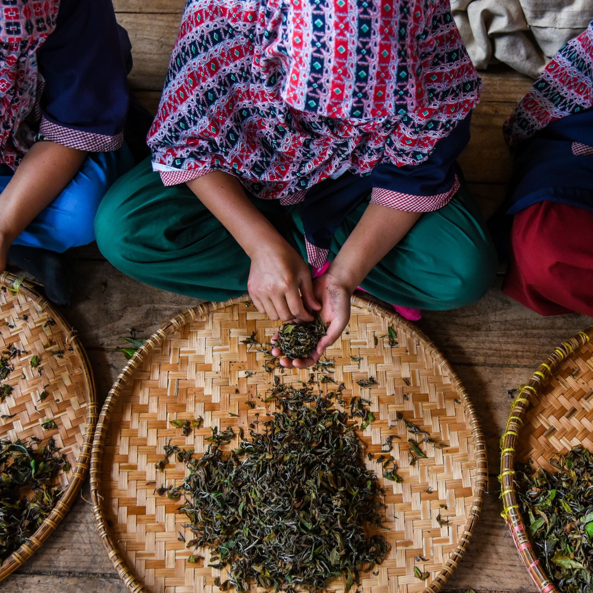 Person in bunter traditioneller Kleidung hält getrocknete Teeblätter über geflochtenen Tabletts auf Holzboden.