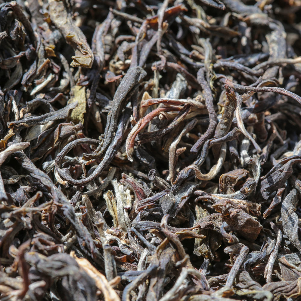 Nature's Raw Power – "Wild & Raw" Sheng Pu-Erh Tea
