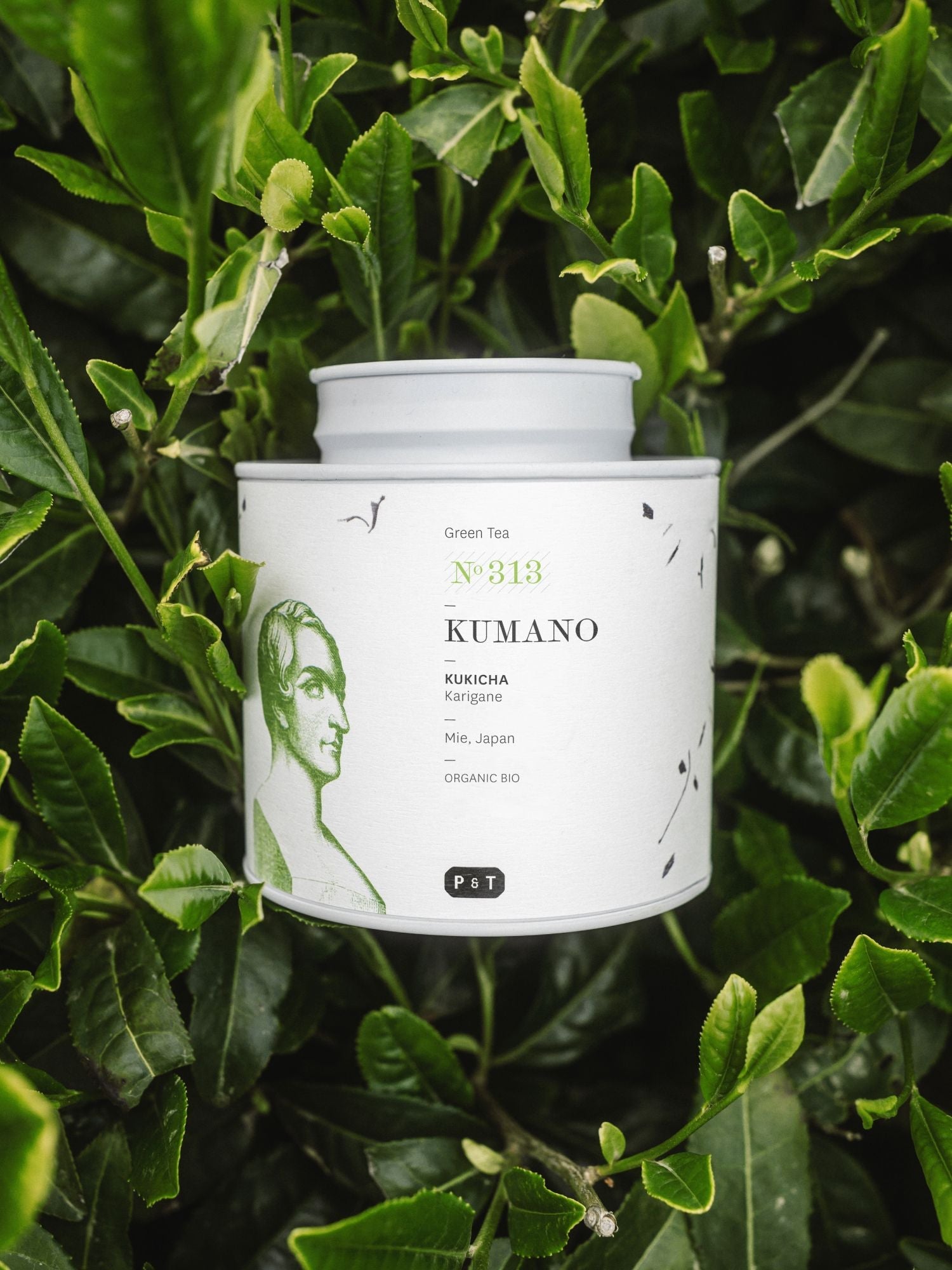 Kumano Kukicha Tea – Indulge in Japanese Kukicha