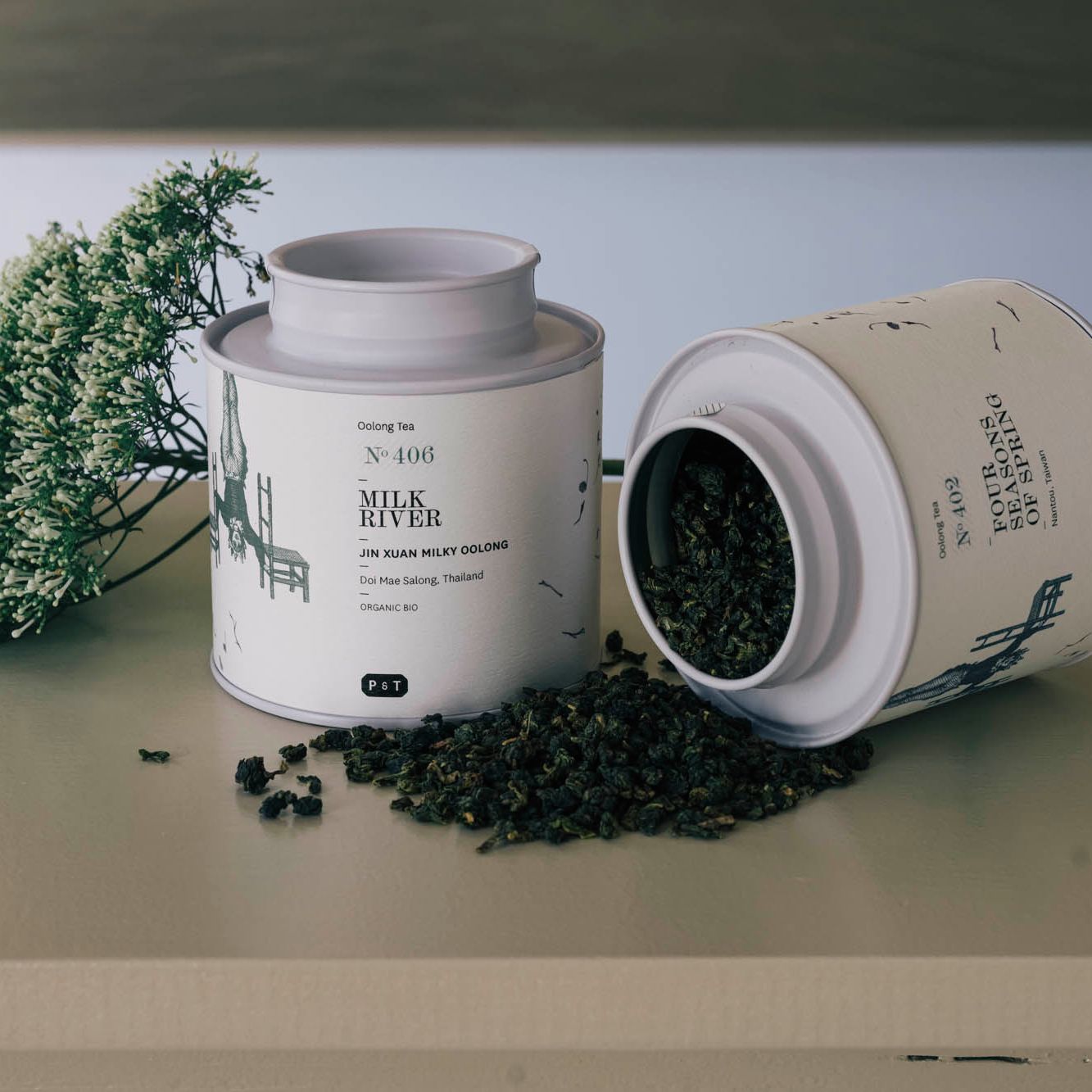Milk River Oolong Tea – Hand-Rolled Specialty